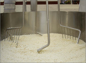 Cheese Equipment  Conococheague Stainless LLC